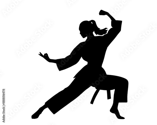 Karate silhouette, female karate player, vector illustration
