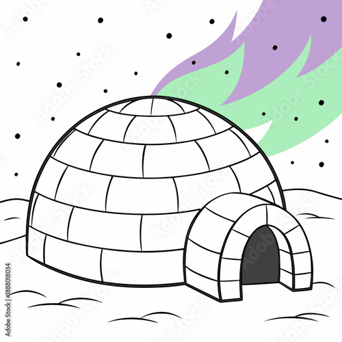 Igloo under northern lights