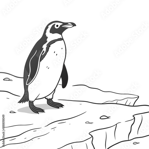 Penguin standing on ice