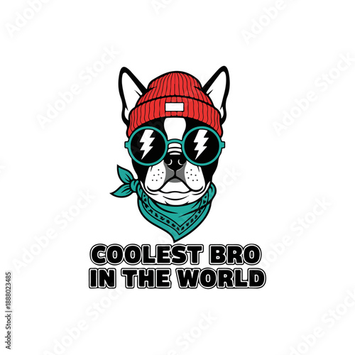 Coolest Bro French Bulldog Wearing Beanie and Sunglasses.