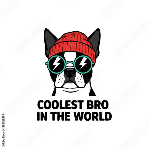 Coolest Bro Boston Terrier Wearing Beanie and Sunglasses.