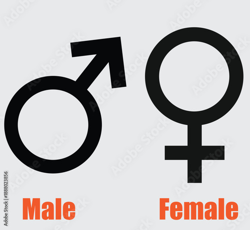 Male and Female Gender Symbol Icons with Man and Woman Profile Silhouettes Vector Set