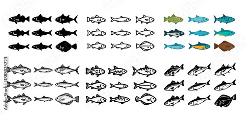 Diverse fish illustrations collection