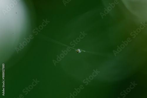 Gotas de agua