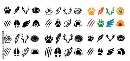 Animal tracks and nature symbols collection