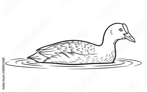 A fundamental digital vector file format for high-quality scalable graphics and illustrations