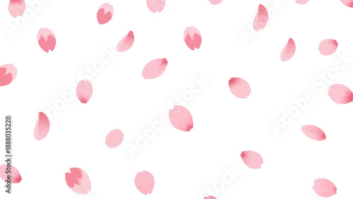 Falling Pink Cherry Blossom Petals on White Background