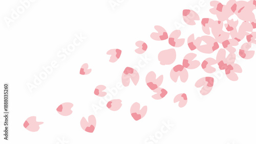 Falling Pink Cherry Blossoms Petals on White Background
