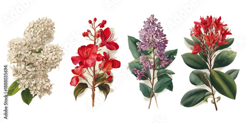 Collection of vibrant flowers on white background