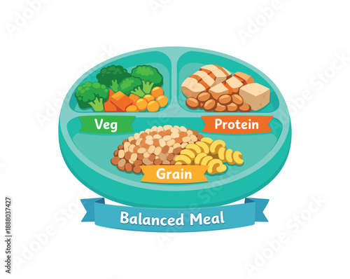 full color flat icon divided silicone baby plate with tiny labels veg protein grain simple balanced meal