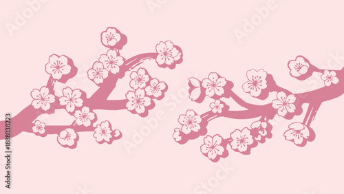 Pink Cherry Blossom Branches with Shadows on Pastel Background