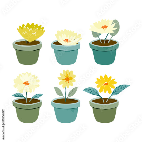 Set of yellow daisies and white flowers in sage green pots for rustic country style garden and patio