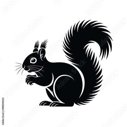 Black and white squirrel with bushy tail animal wildlife d