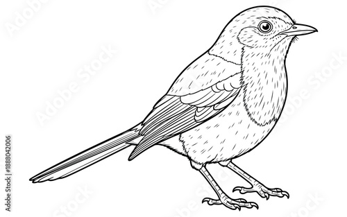 Vector file placeholder for design, ready for your creative content and graphic projects