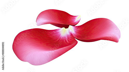 Three Red Rose Petals Floating