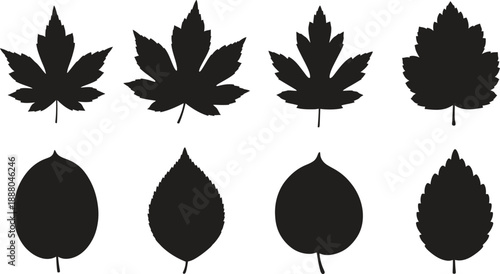Collection of eight black leaf silhouettes on a white background