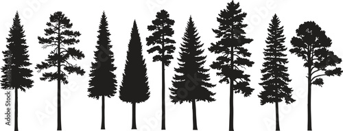 Collection of various evergreen tree silhouettes on a white background