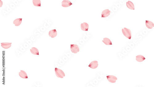 Pink Cherry Blossom Petals Falling Gently on White Background
