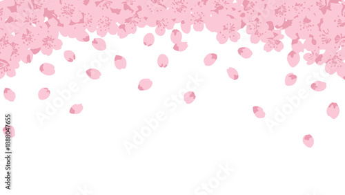 Pink Cherry Blossom Petals Falling Gently, Springtime Flower Background