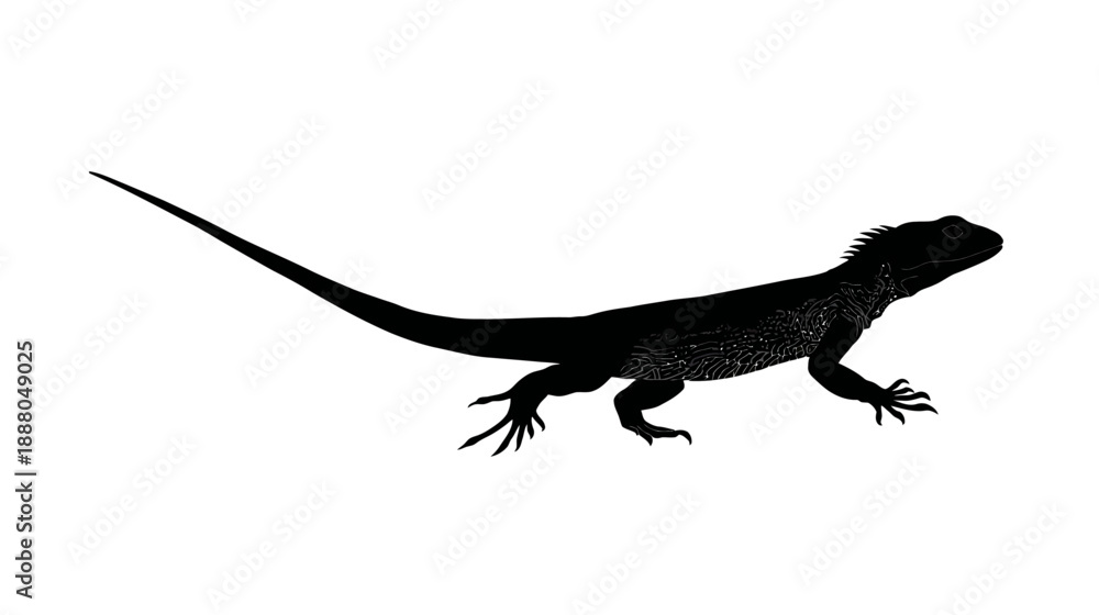 Fototapeta premium Dynamic black lizard silhouette isolated on white background. Detailed reptile outline, side view, graphic element for wildlife themes.