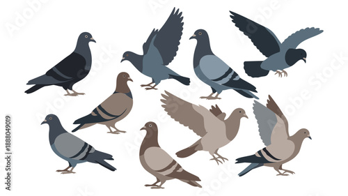 Flock of pigeons flying in formation against white background minimalist design