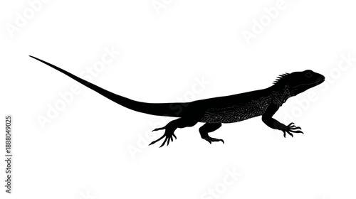 Dynamic black lizard silhouette isolated on white background. Detailed reptile outline, side view, graphic element for wildlife themes.