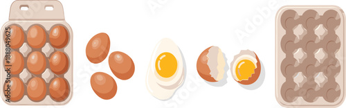 Egg lifecycle illustration, carton with eggs, cracked shells, cooked yolk, food preparation stages, kitchen concept, breakfast ingredient, isolated on white background