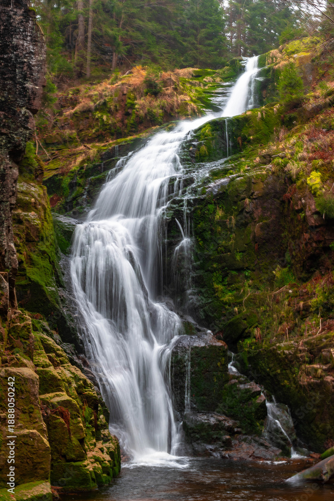 Fototapeta premium waterfall in the woods