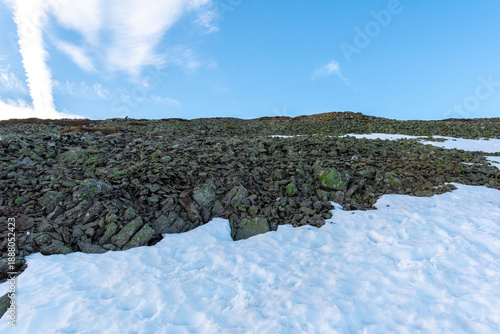 winter landscape with snow