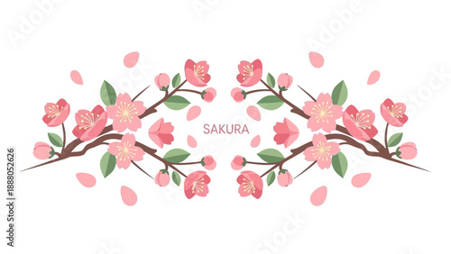 Sakura Cherry Blossoms on Branches with Falling Petals, Spring Floral Design