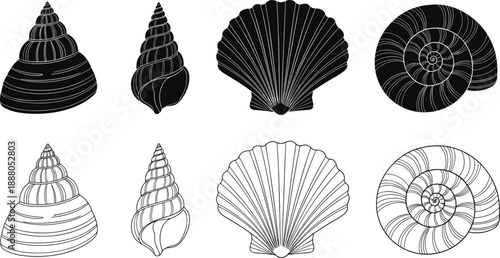 Collection of seashell icons in silhouette and outline styles, featuring scallops, spiral snail shells, and nautical ocean elements isolated on white background for design,