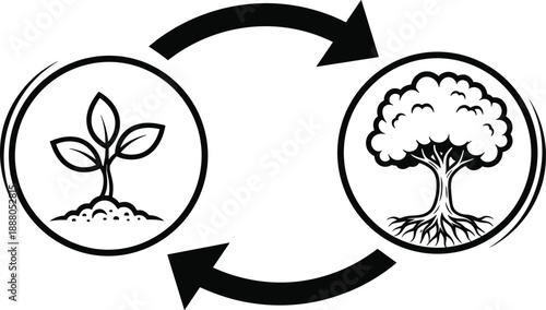 Ecology and nature conservation icon set, showing plant growth cycle from seedling to mature tree with circular arrows, sustainable environment vector illustration,