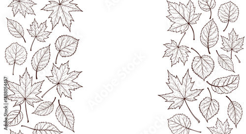 Seamless border of various autumn leaves in a detailed sketch style, featuring maple and birch foliage.