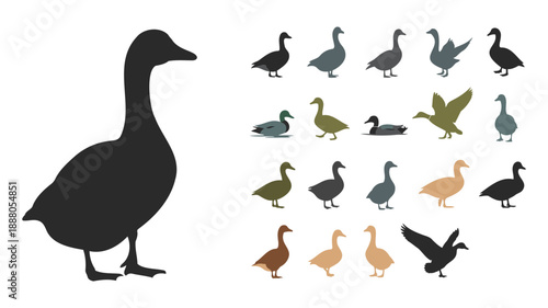 Black goose leading flock of colorful ducks and ducklings in flat design illustration