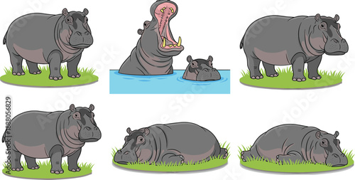 Set of hippopotamus cartoon characters vector illustration, cute hippo animal poses collection for wildlife and safari design