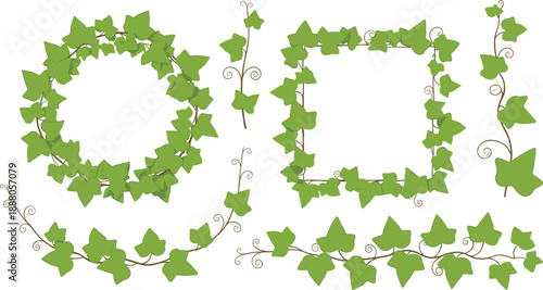 Set of ivy leaf frames and borders vector illustration, natural green vine wreath collection for decorative floral design