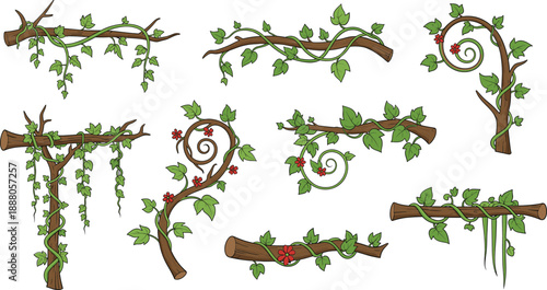 Set of ivy vine branches vector illustration, decorative forest greenery borders collection for natural floral design elements