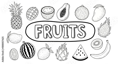 Assorted Fruits Doodle Vector Illustration Featuring Various Fruits and a Central Label on a Simple Background