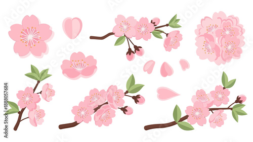 Cherry Blossom Branches and Petals - Spring Floral Elements
