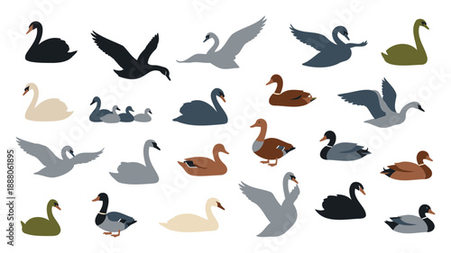Flock of diverse waterfowl birds flying swimming resting flat design vector illustration