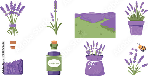 Lavender Essential Oil Illustration Set  Aromatherapy and Natural Wellness