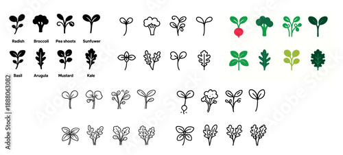 Plant icons: radish to kale varieties
