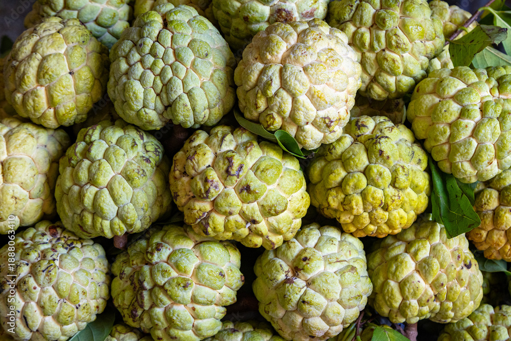Fototapeta premium Pile of custard apples on a market in Vietnam. Tropical fruit.