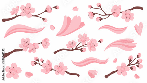 Cherry Blossom Branches and Petals, Spring Floral Elements