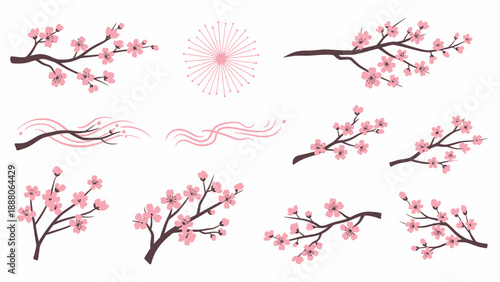 Cherry Blossom Branches Collection: Spring Flowers, Nature Elements, and Floral Designs
