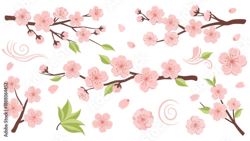 Cherry Blossom Branches with Falling Petals and Leaves - Spring Elements