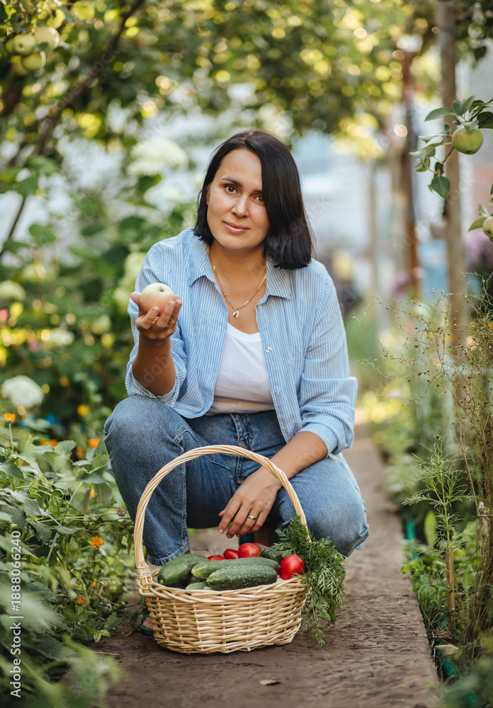Fototapeta premium Woman holding full basket with fresh organic vegetables in the garden. Harvest season