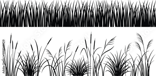 Grass and reed silhouettes vector set, meadow plants and cattails collection, wild vegetation borders, natural landscape elements, black and white illustration design