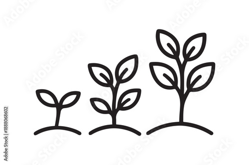 Illustration of plant growth stages depicted with simple line art icons