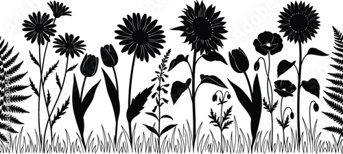 Wildflower meadow silhouettes illustration, blooming garden plants and grass border, floral nature landscape design, spring and summer botanical theme, black vector illustration